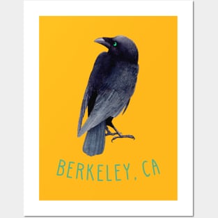 Berkeley California Crow Raven Posters and Art